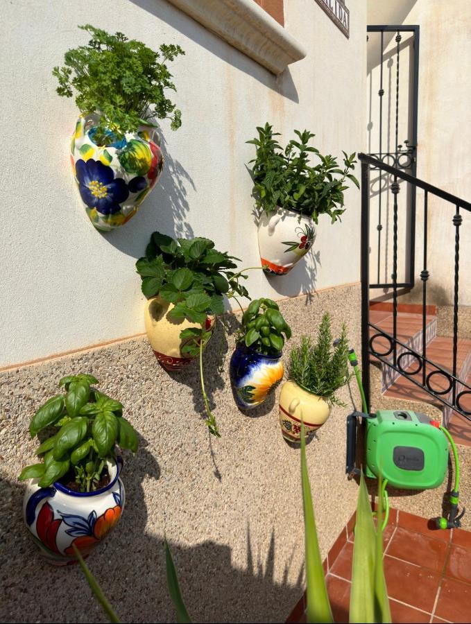 Casa Cálida - Orihuela Costa ,Alicante Punta Prima  Exterior foto